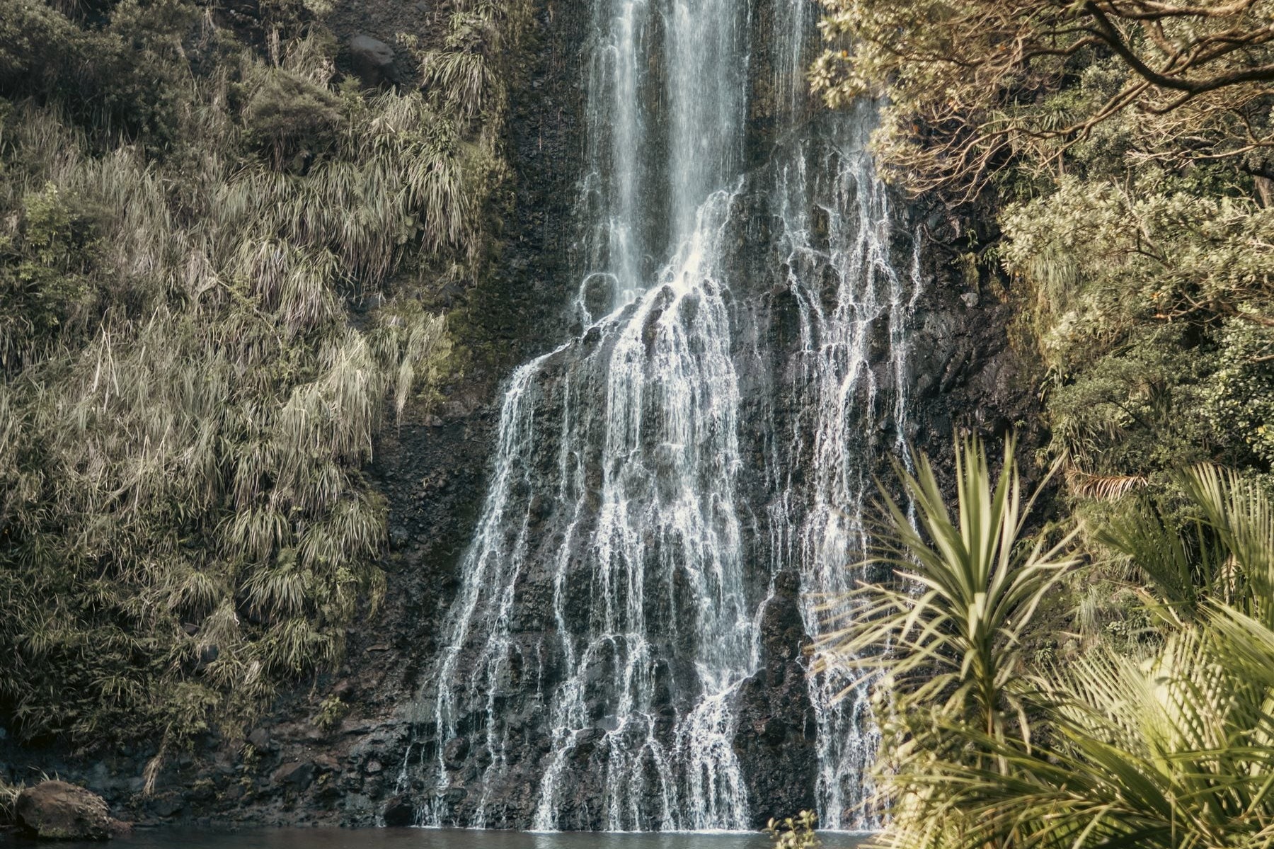 Restoring Balance: From Overwhelm to Whakapapa