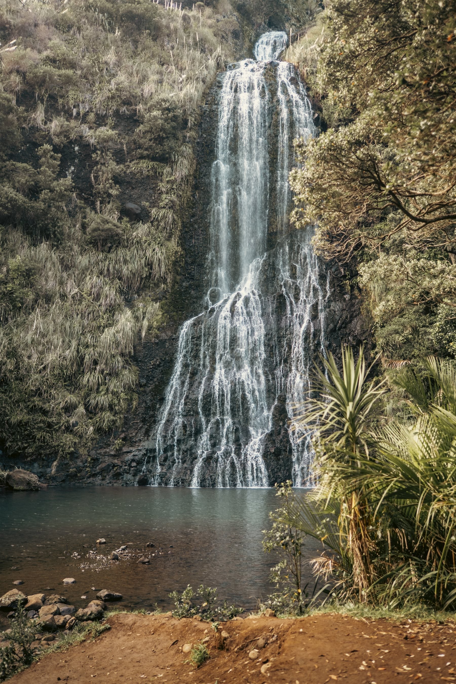 Restoring Balance: From Overwhelm to Whakapapa